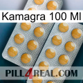 Kamagra 100 Ml levitra2